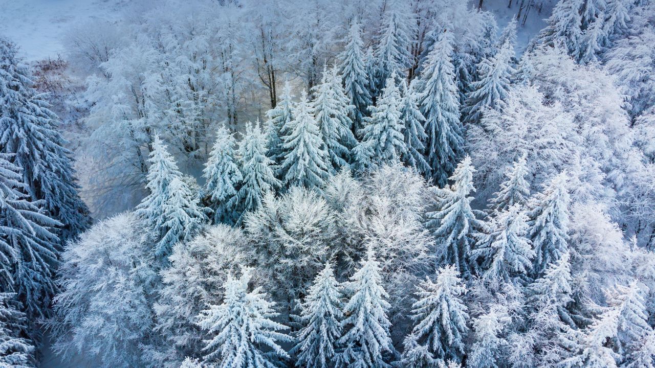 Borovets, Bulgarie