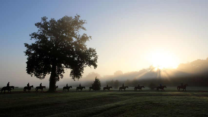 Cavaliers et leurs chevaux au petit matin, Chantilly, France