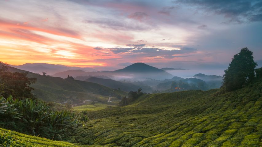 瑞典拉普兰的北博滕省阿比斯库国家公园的秋色- Bing Gallery