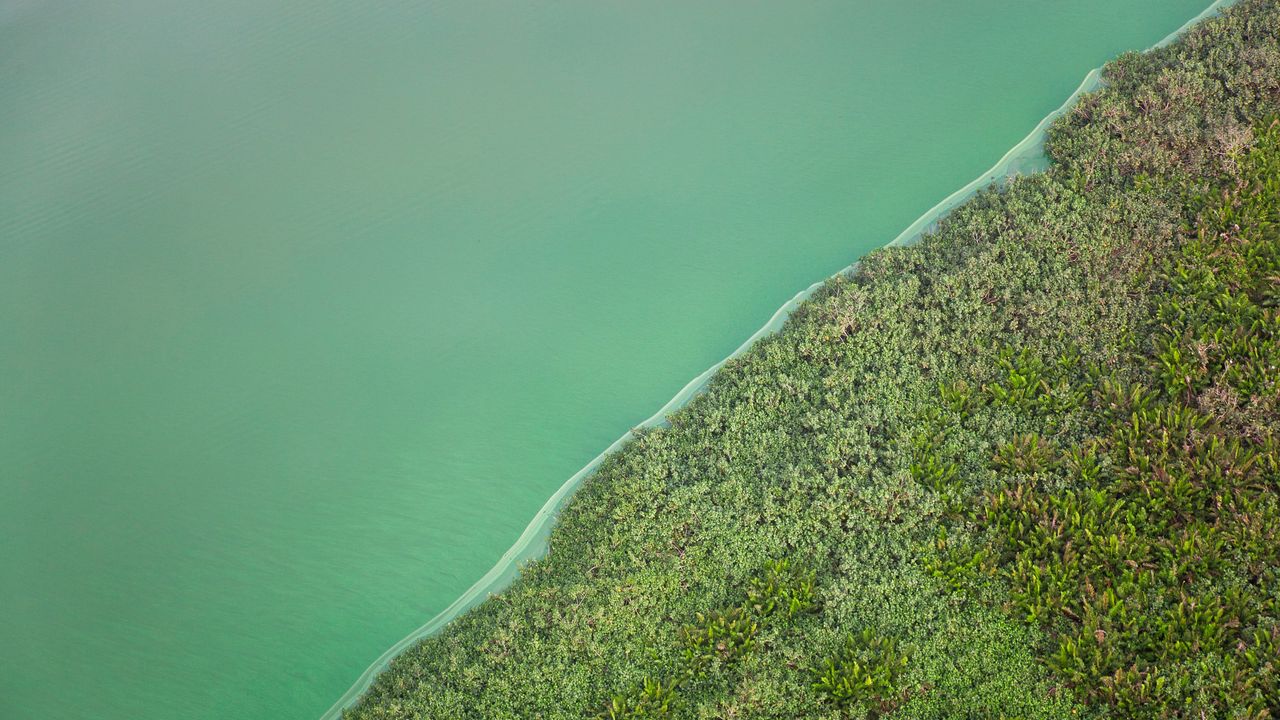 Vista aérea da Lagoa Verde, Angra dos Reis, Rio de Janeiro