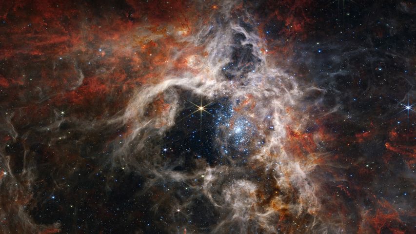 Young stars forming in the Tarantula Nebula, James Webb Space Telescope
