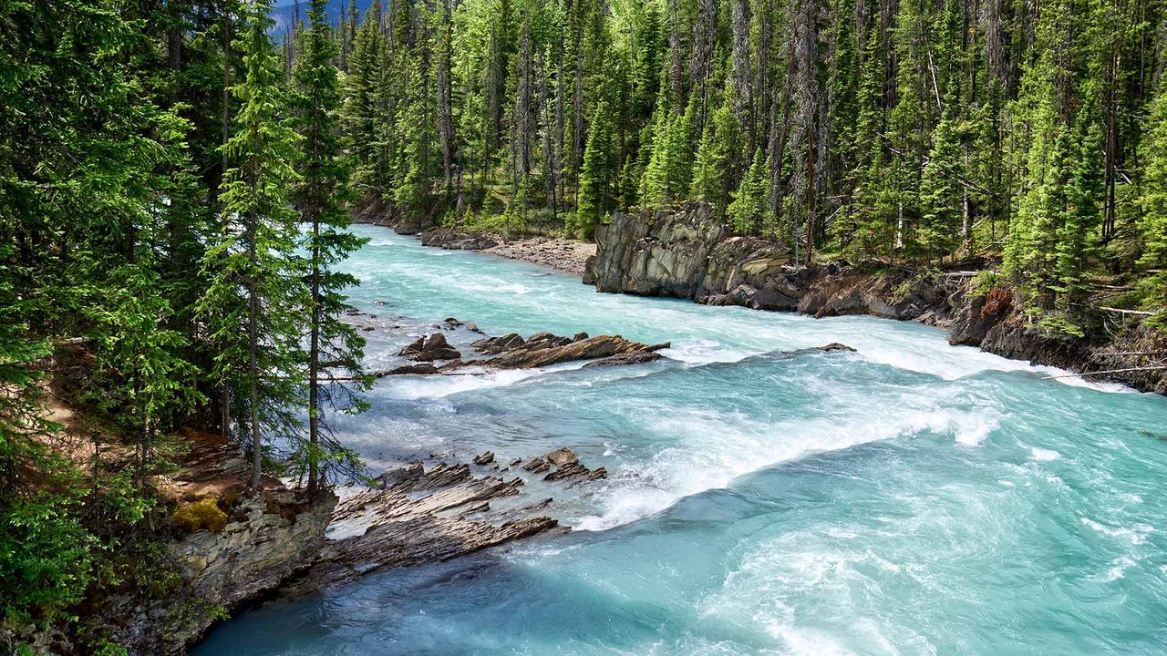 Glacial turquoise water of Kicking Horse River, Yoho National Park, B.C.
