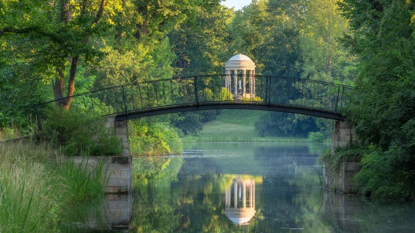 Peace in the park