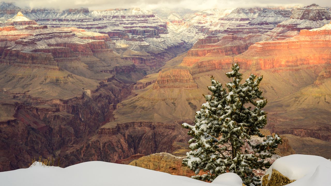 Snow-covered North Rim, Grand Canyon National Park, Arizona, United States
