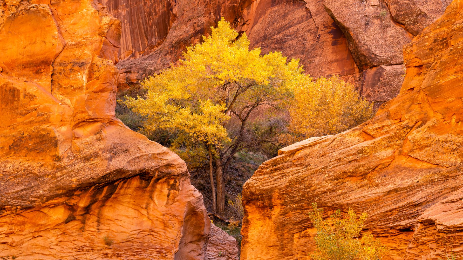 Green River Basin – Coyote Gulch