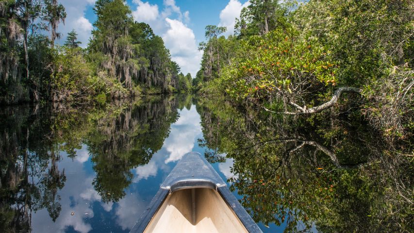 Canoe paddling in Okefenokee National Wildlife Refuge, Florida, USA