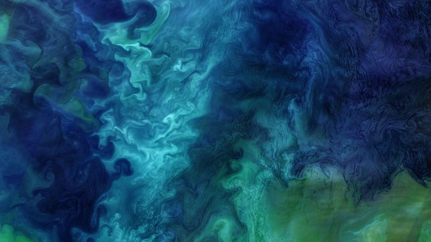 Eflorescência algal no mar de Thuktchi, próximo à costa do Alasca, nos Estados Unidos