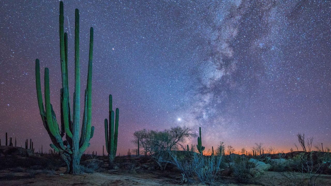 Baja stargazing