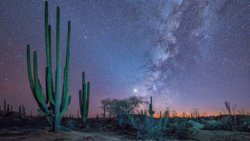 Baja stargazing