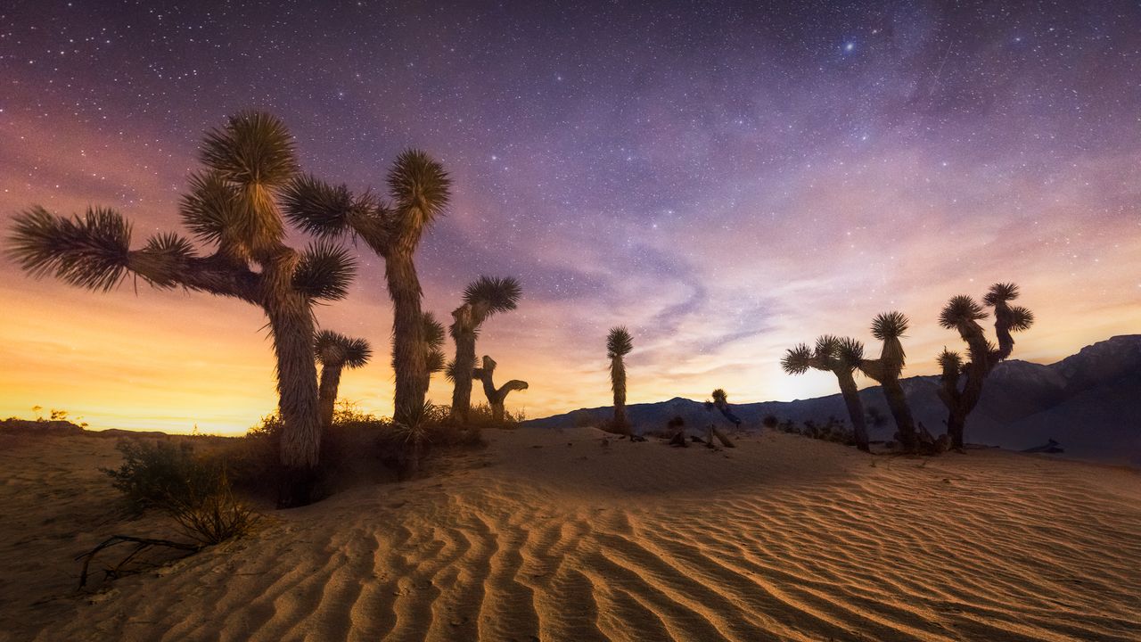 Parque Nacional de Joshua Tree, Califórnia, EUA