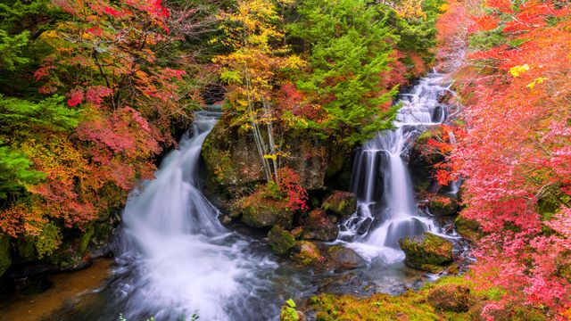竜頭の滝, 栃木県 日光市 - Bing Gallery · Peapix