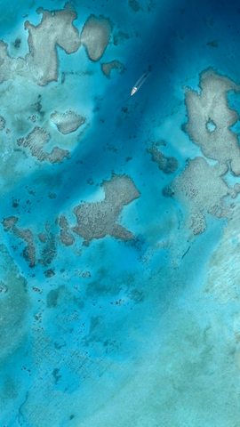 Google Pixel 3 & Pixel 3 XL Stock Wallpapers